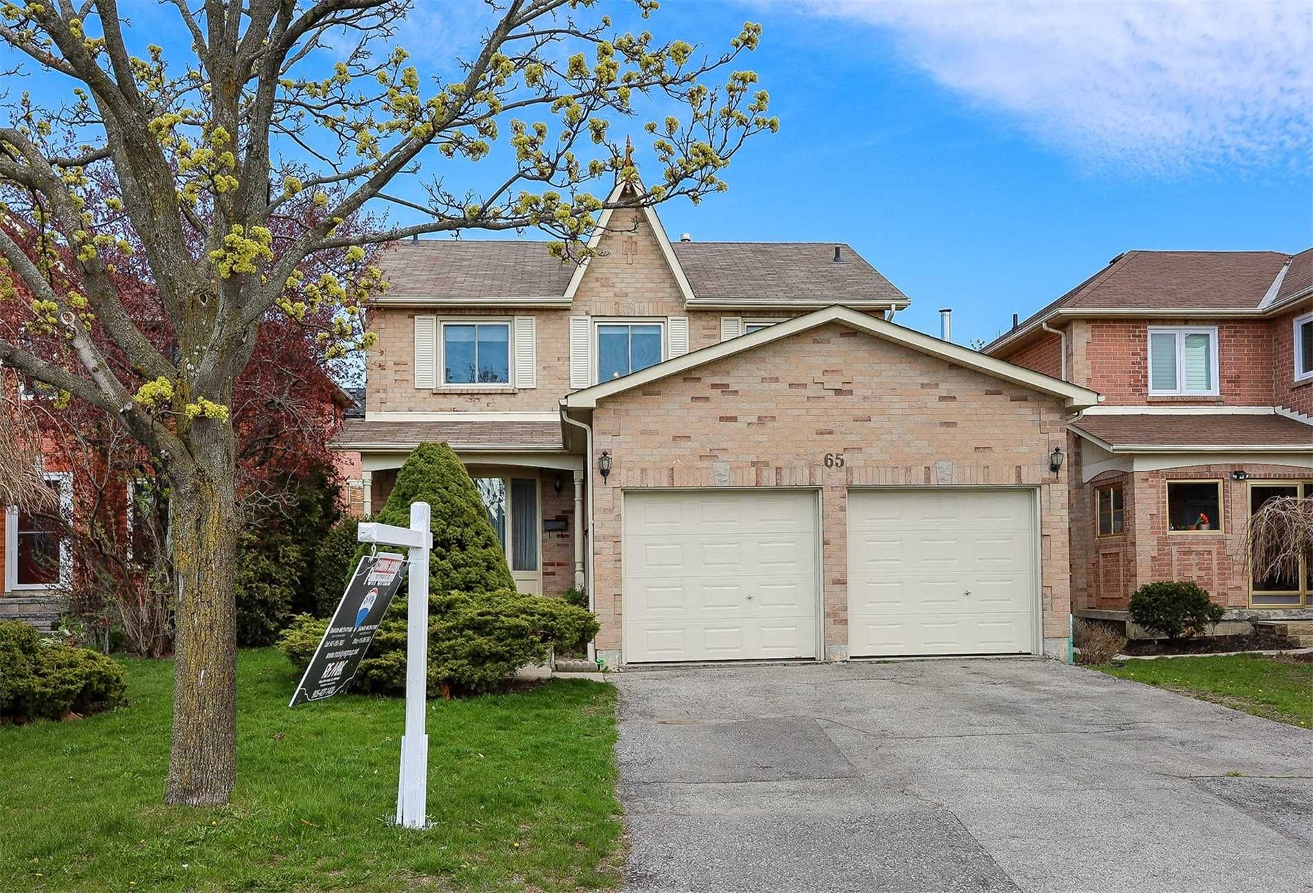 65 Coe Dr